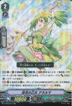 V-EB14/ 017 Osmanthus maiden Anelma RR