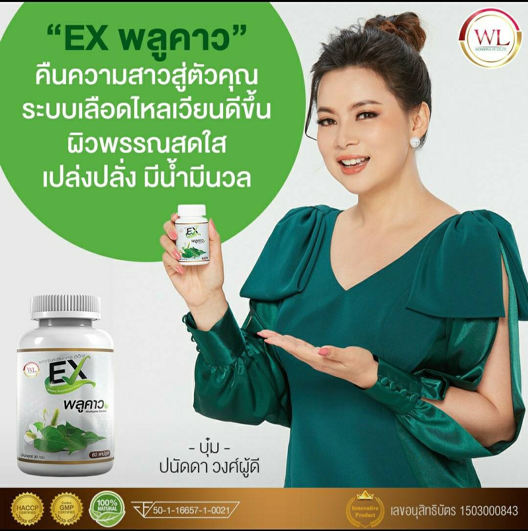 EX พลูคาว เสริมภูมิคุ้มกัน สู้ภัยโควิด-19 สมุนไพรพลูคาว ต้านไวรัส