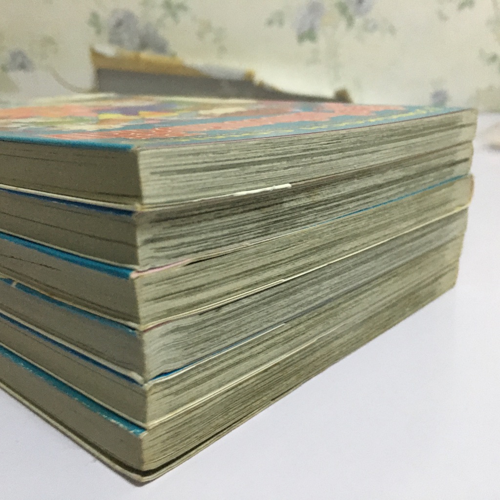 เรื่องวุ่นๆ ในเมืองแห่งสีสัน เล่ม 1-6 (จบ)