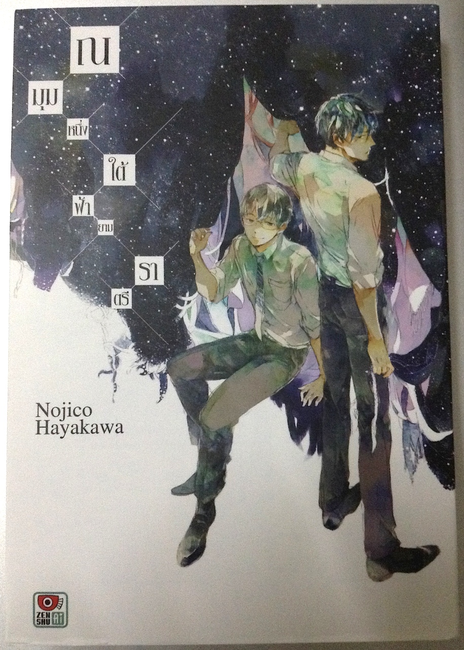 ณ มุมหนึ่งใต้ฟ้ายามราตรี (เล่มเดียวจบ)