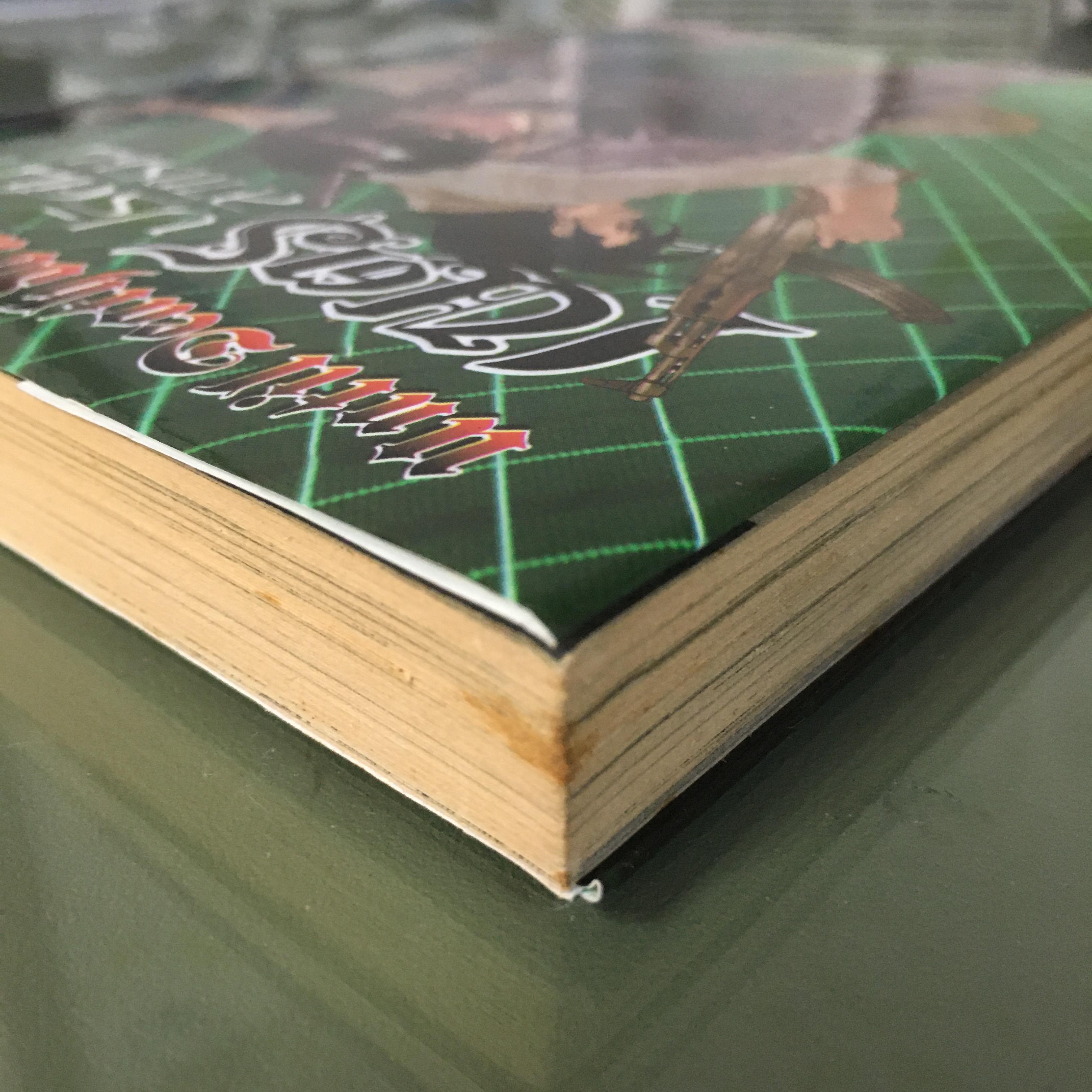 เนตรปริศนาล่าทรชน เล่ม 13