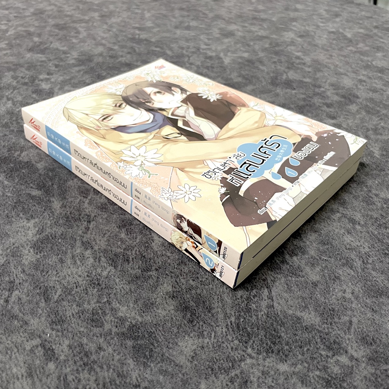 *มือสองขีดสัน* ชีวิตมหาลัยที่แสนเศร้าของผม เล่ม 1-2 (จบ)