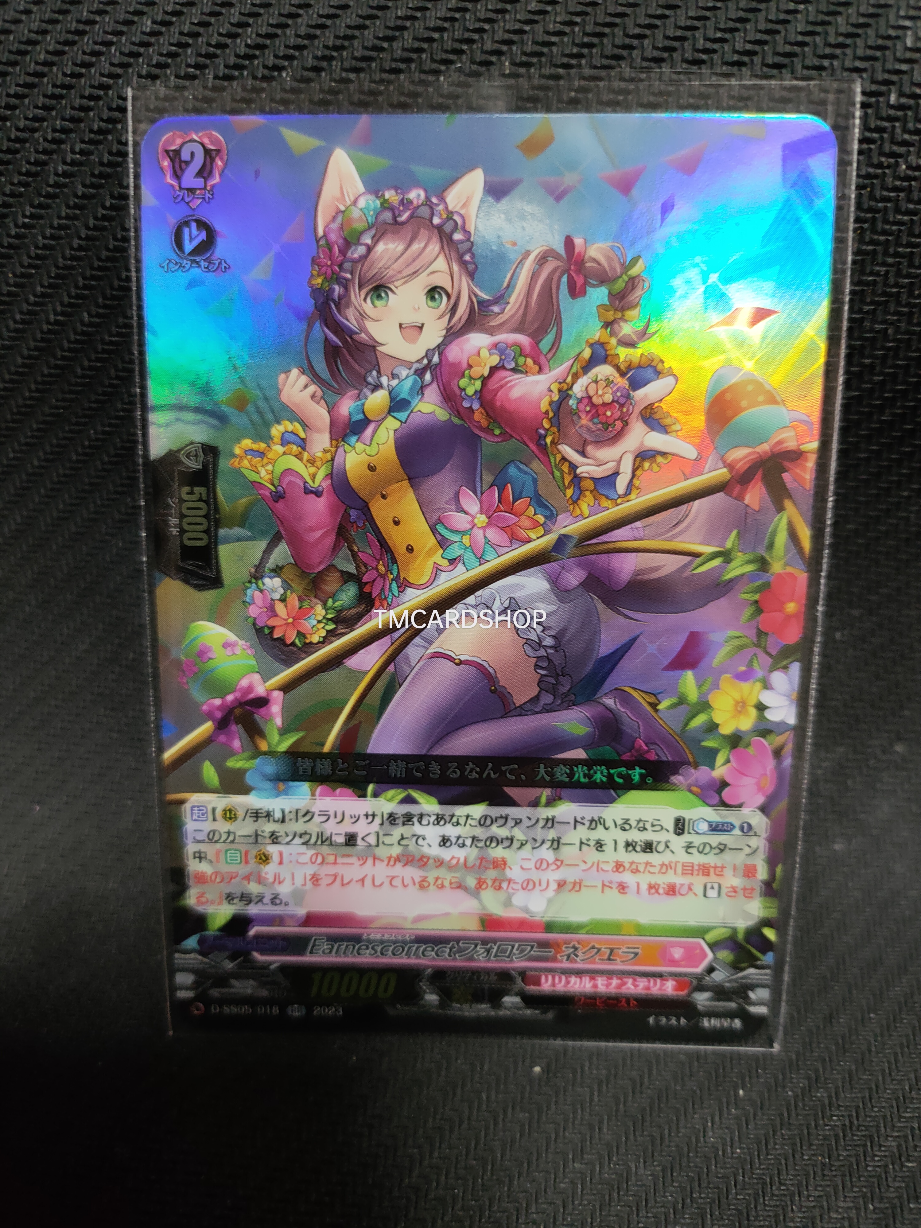 D-SS05/018 Earnescorrect follower Neccela RR