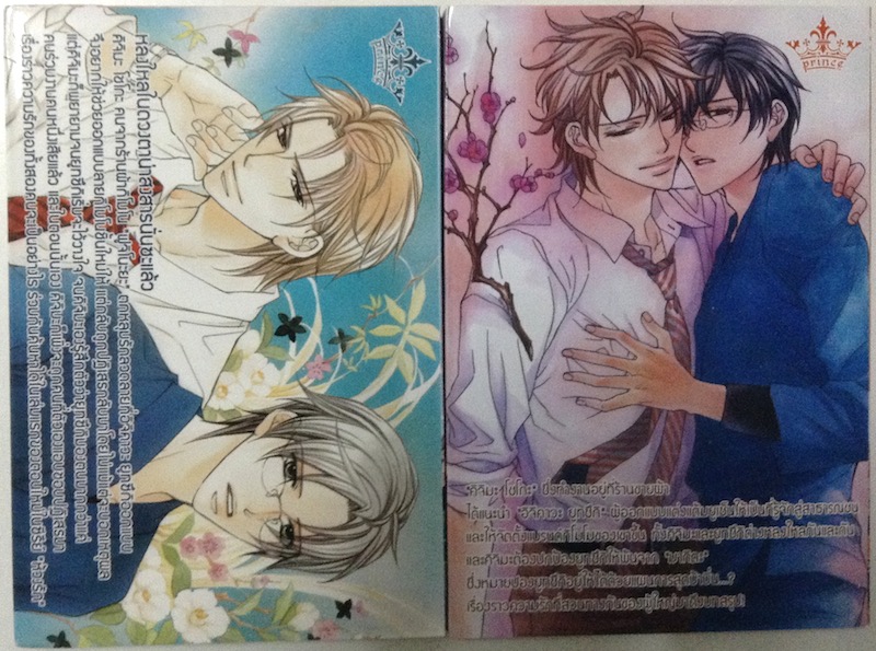 ห้วงรักบ่วงเสน่หา เล่ม 1-2 #จบ