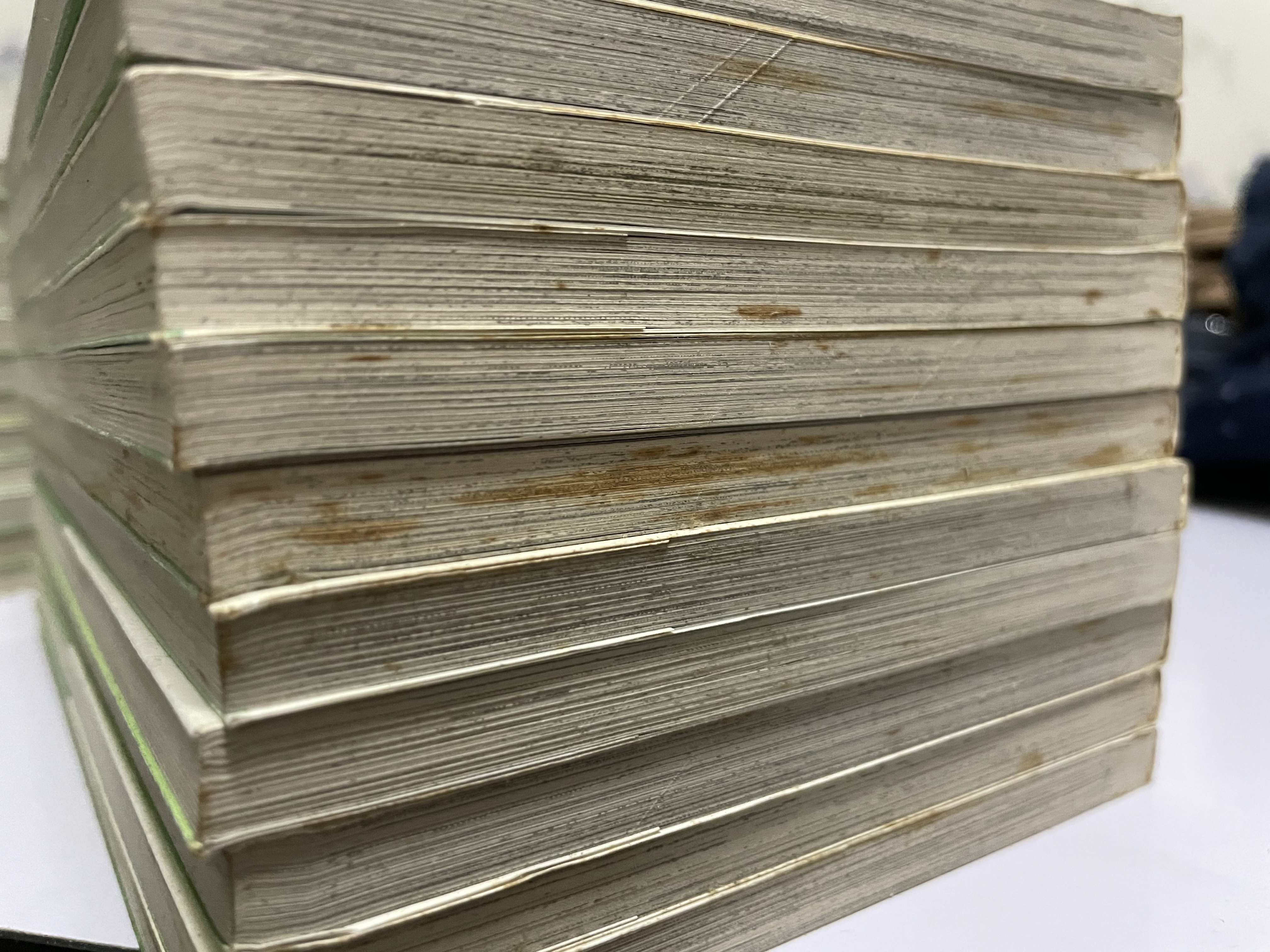 สับขั้วมาลุ้นรัก For You in Full Blossoms เล่ม 1-23 (จบ)