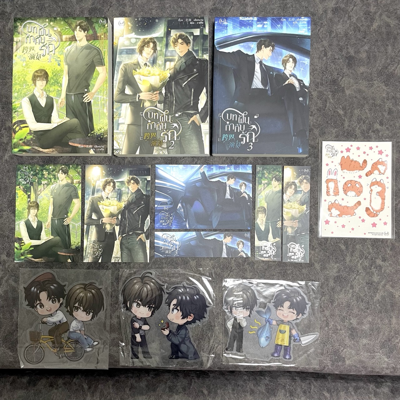 *มือสอง รอบจอง* บทฝัน กำกับรัก เล่ม 1-3 (จบ) + ของพรีเมียมรอบจอง