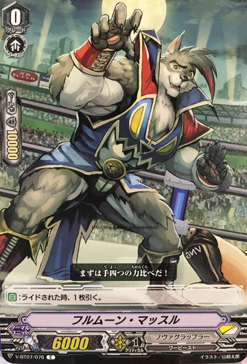 V-BT07/076 Fullmoon muscle C