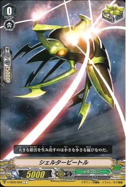 V-EB09/063 Shelter Beetle C
