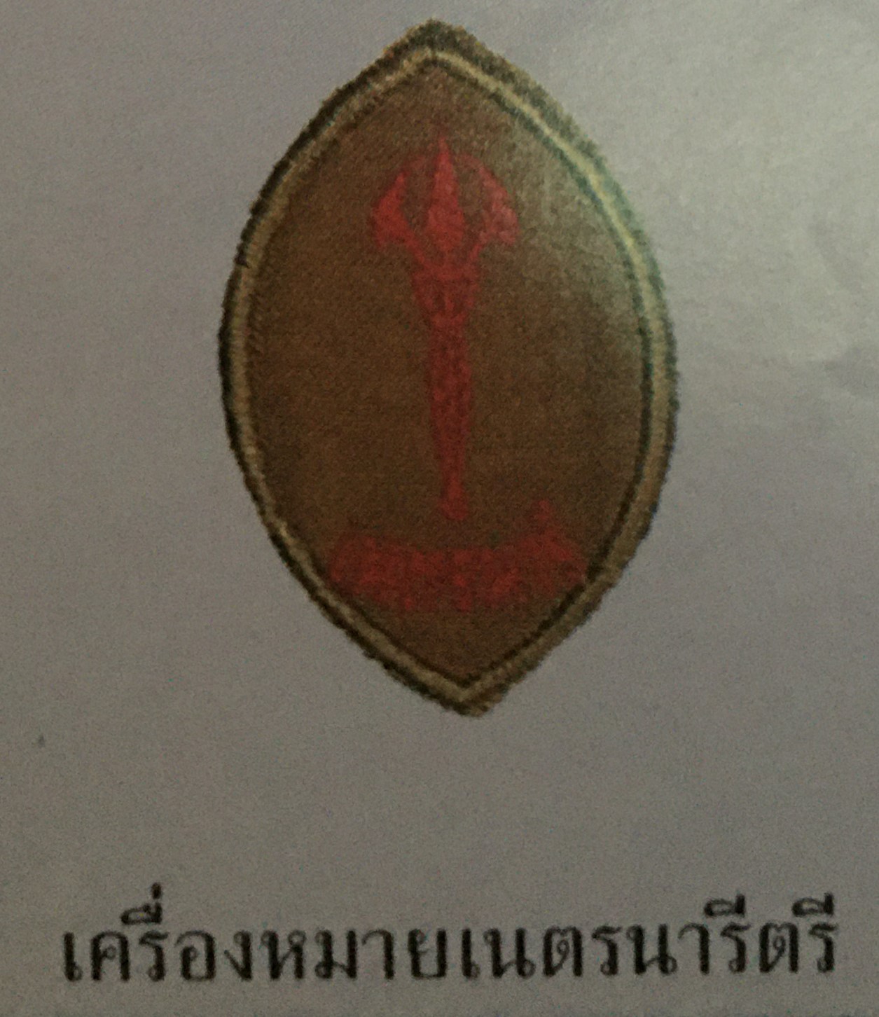 เครื่องหมายเนตรนารีตรี