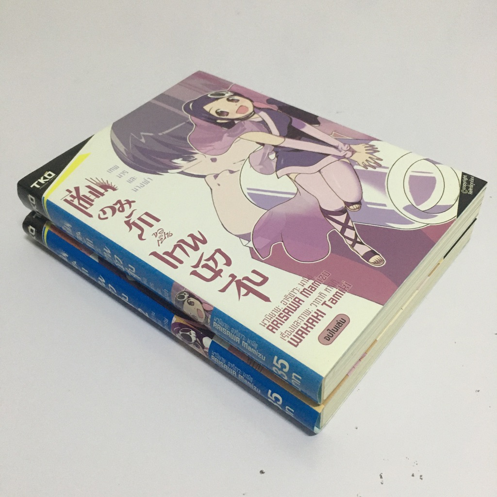 เซียนเกมรักขอเป็นเทพนักจีบ เล่ม 1-2 (นิยาย)