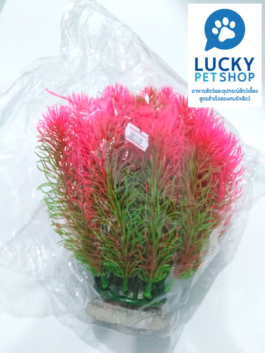 ต้นไม้แต่งตู้ปลาต้นใหญ่ DT 120