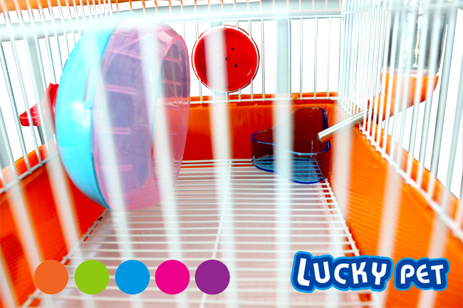 กรงหนูแฮมเตอร์ ขนาดเล็ก (HC 601)