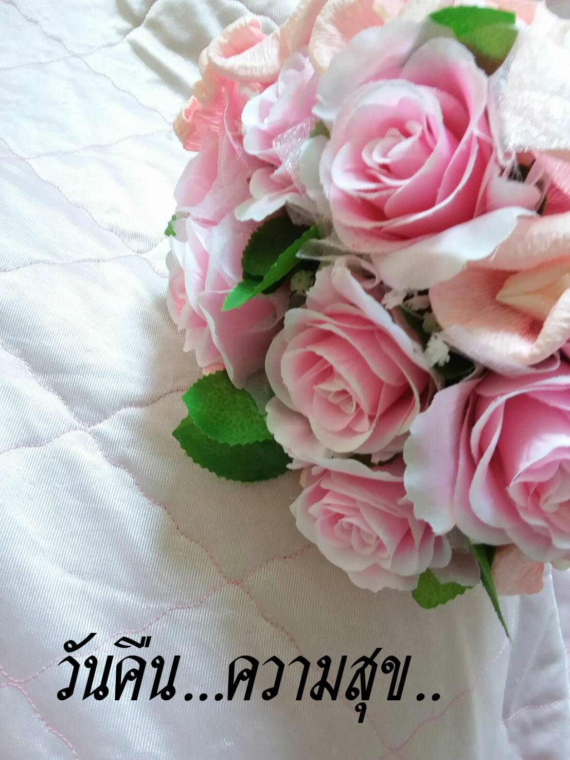 เสื้อครอบครัว สีสันสดใส สั่งเพิ่มซิปเปิดให้นมได้ มีให้เลือกหลายสี