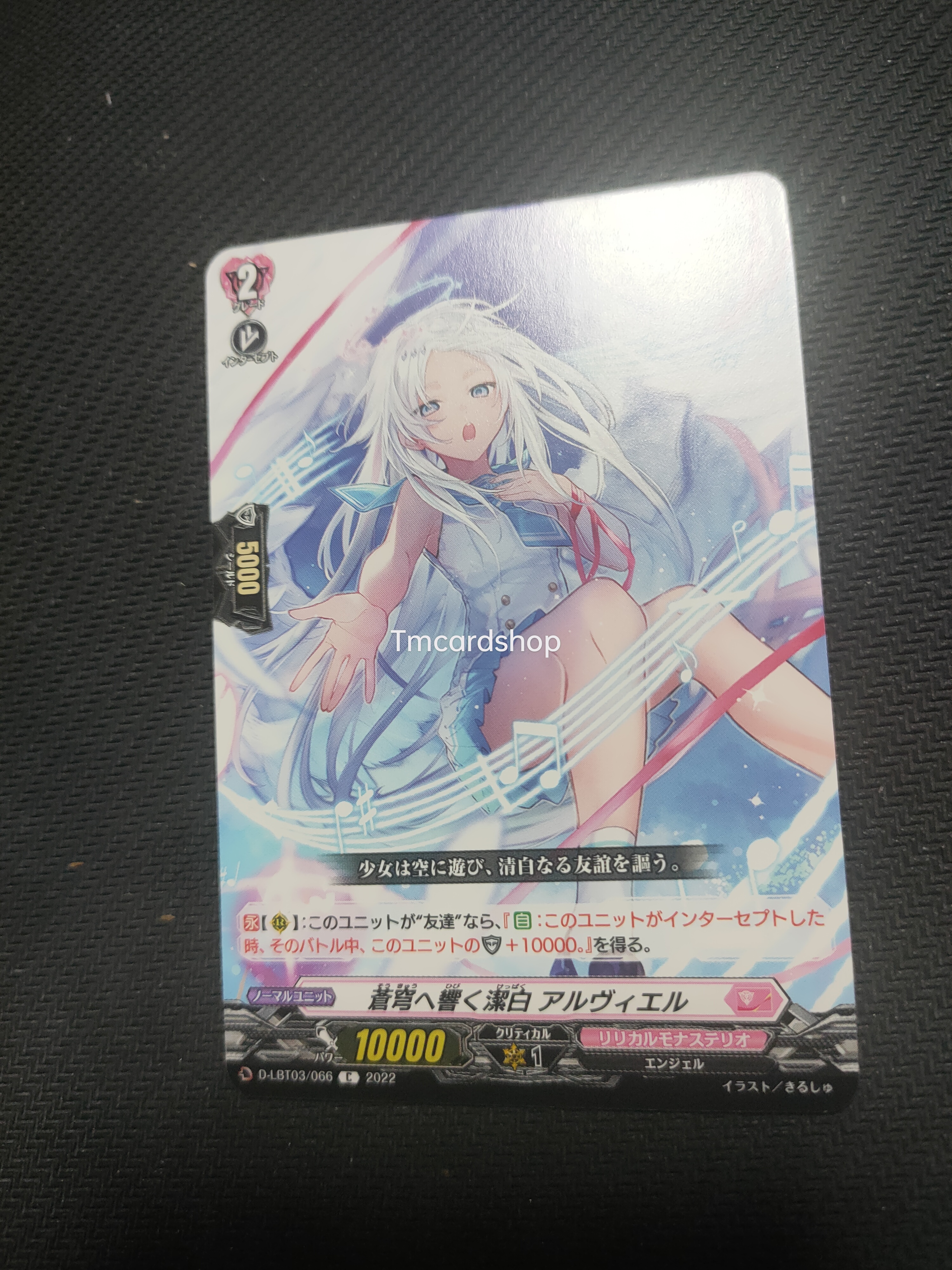 D-LBT03/066 Pure white resounding to the azure Alviel C