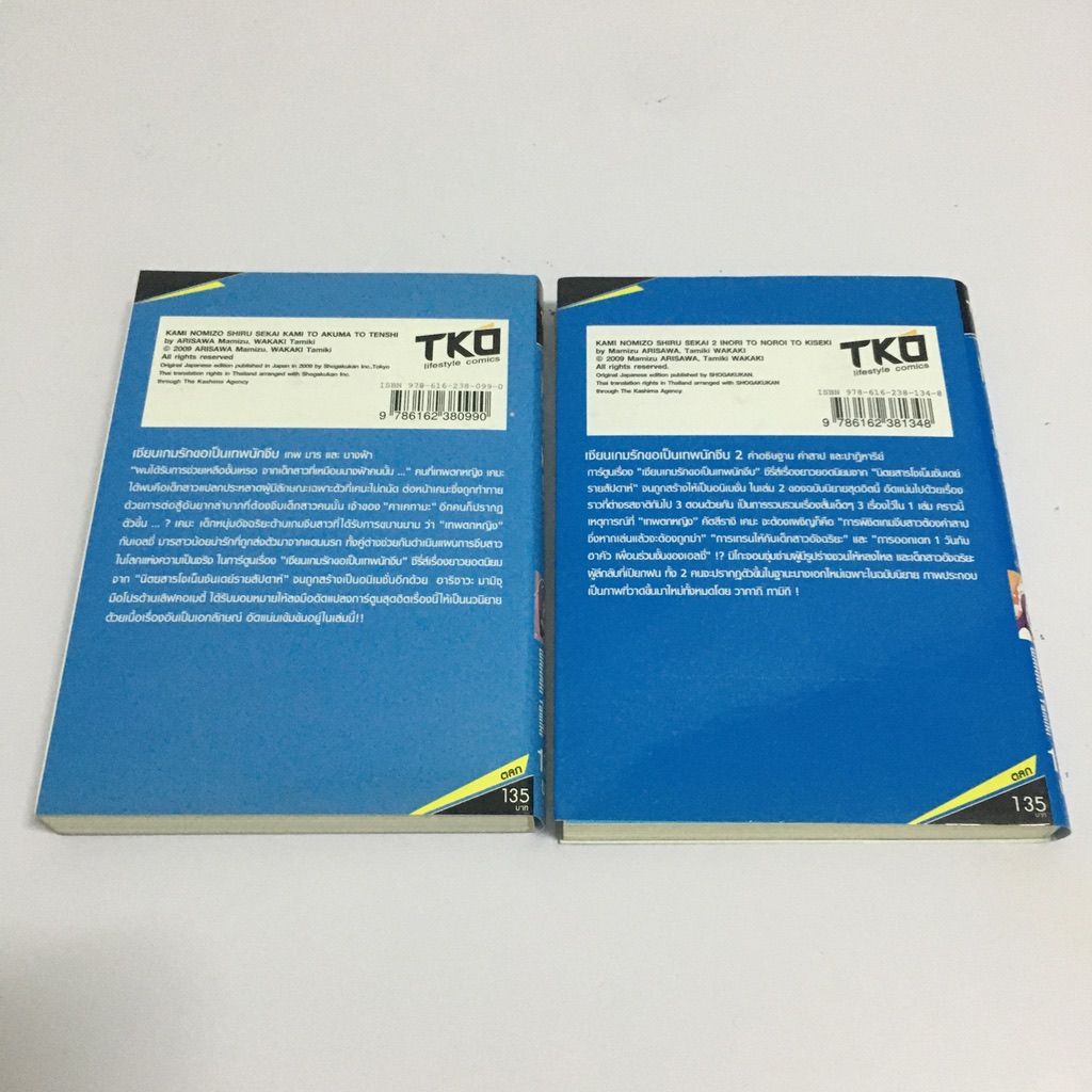 เซียนเกมรักขอเป็นเทพนักจีบ เล่ม 1-2 (นิยาย)