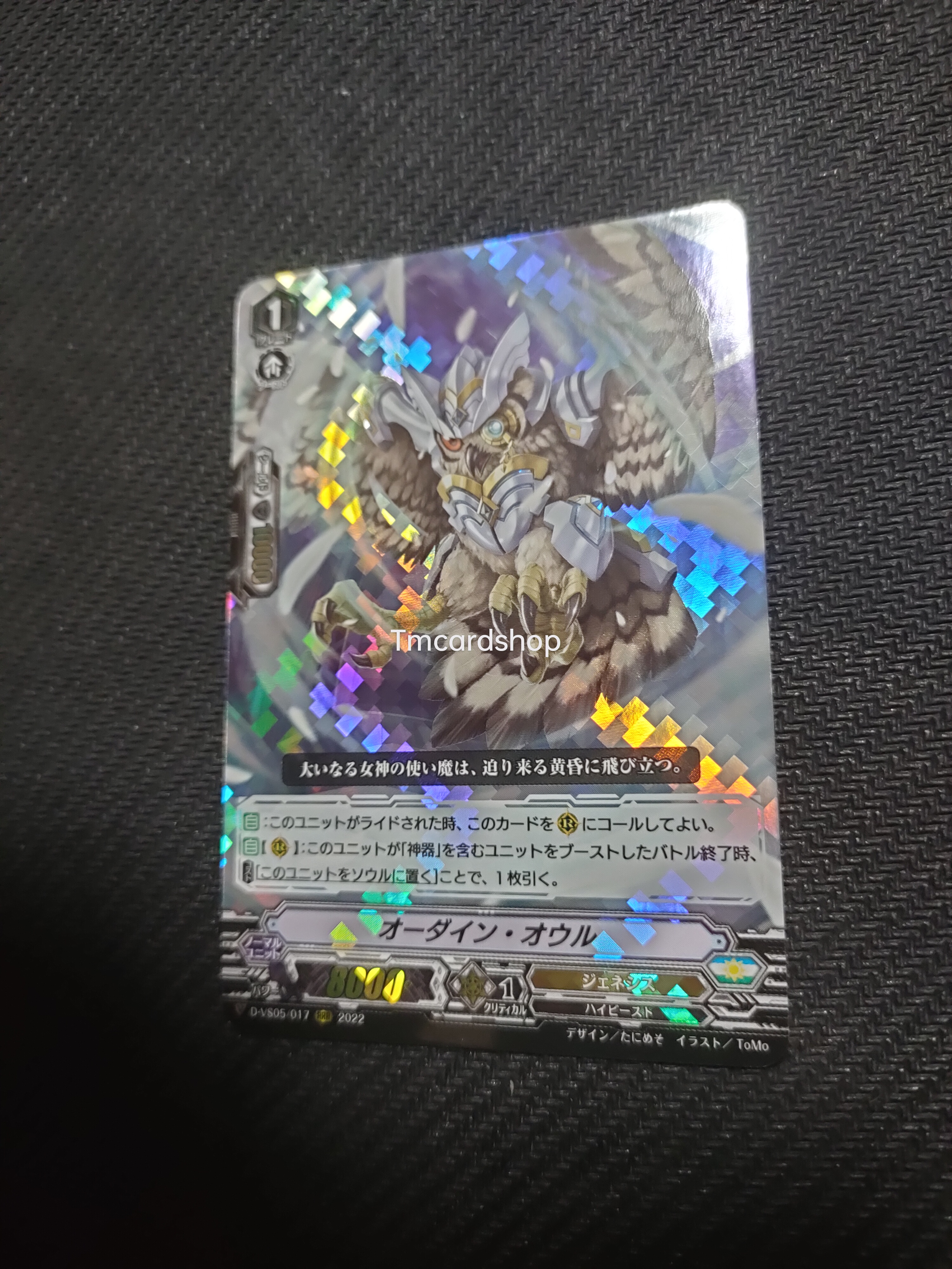 D-VS05-017 Ordain owl