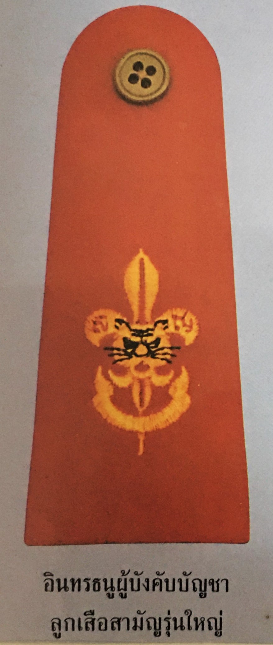 อินทรธนูผู้บังคับบัญชา ลูกเสือสามัญรุ่นใหญ่