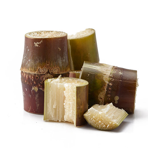 Vita กระเทียม