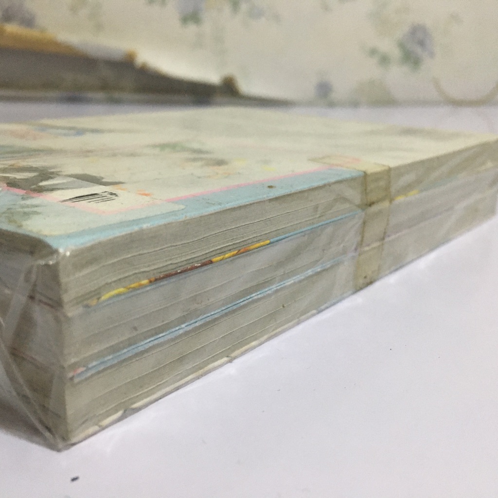 รักวุ่นๆ ของสาวใช้กับคุณชายหนุ่ม เล่ม 1-3 (จบ)