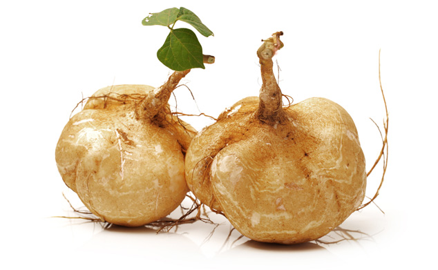 สารสกัดกวาวเครือขาว (Pueraria mirifica extract)