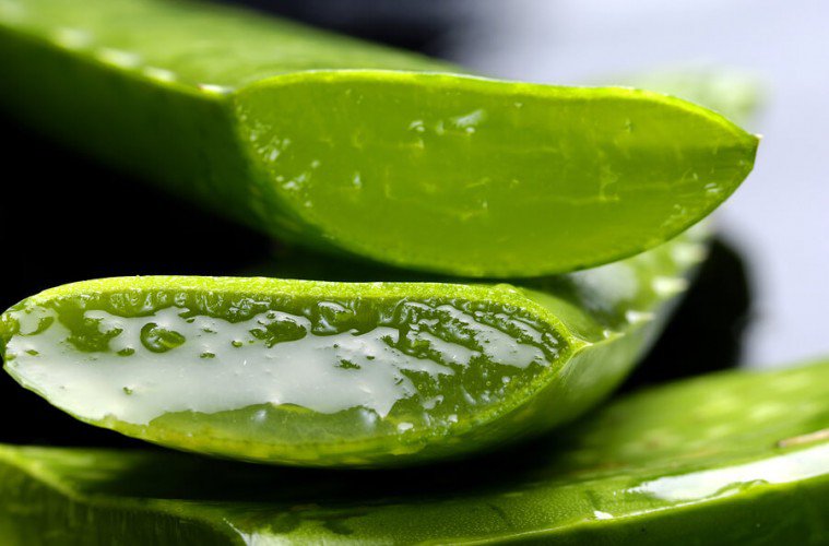 สารสกัดว่านหางจระเข้ (Aloe vera extract)