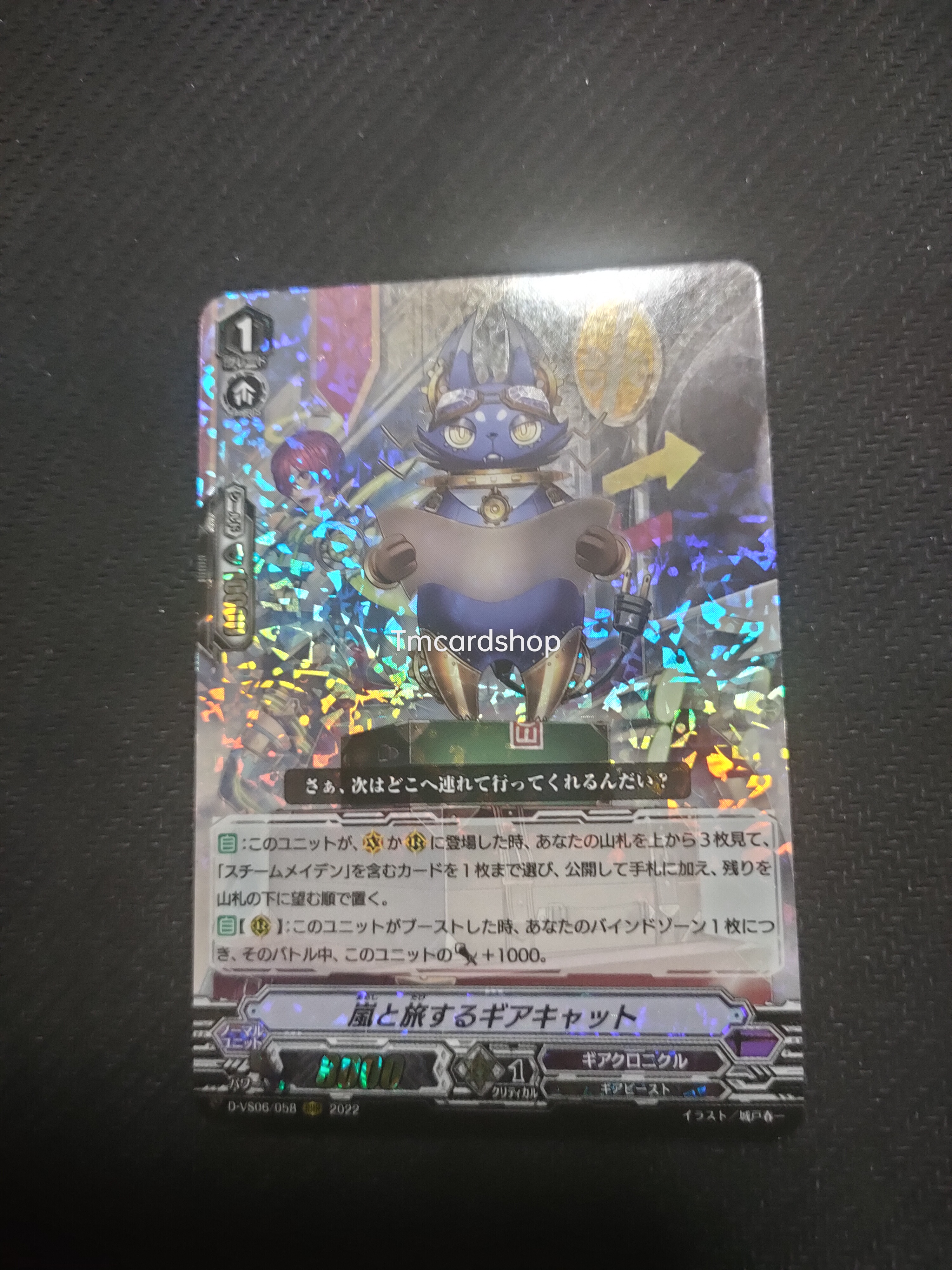 D-VS06-058 Gear cat traveling with Storm
