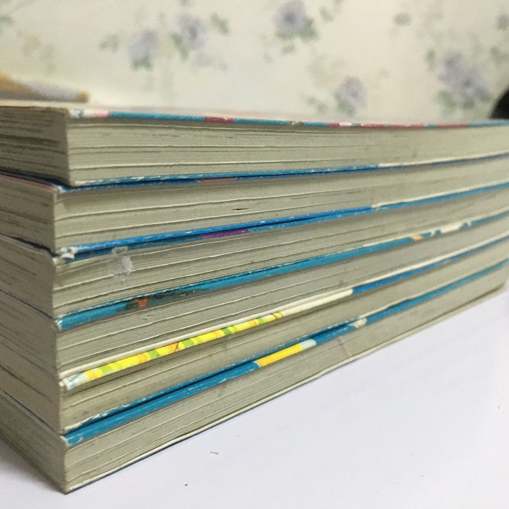 เรื่องวุ่นๆ ในเมืองแห่งสีสัน เล่ม 1-6 (จบ)