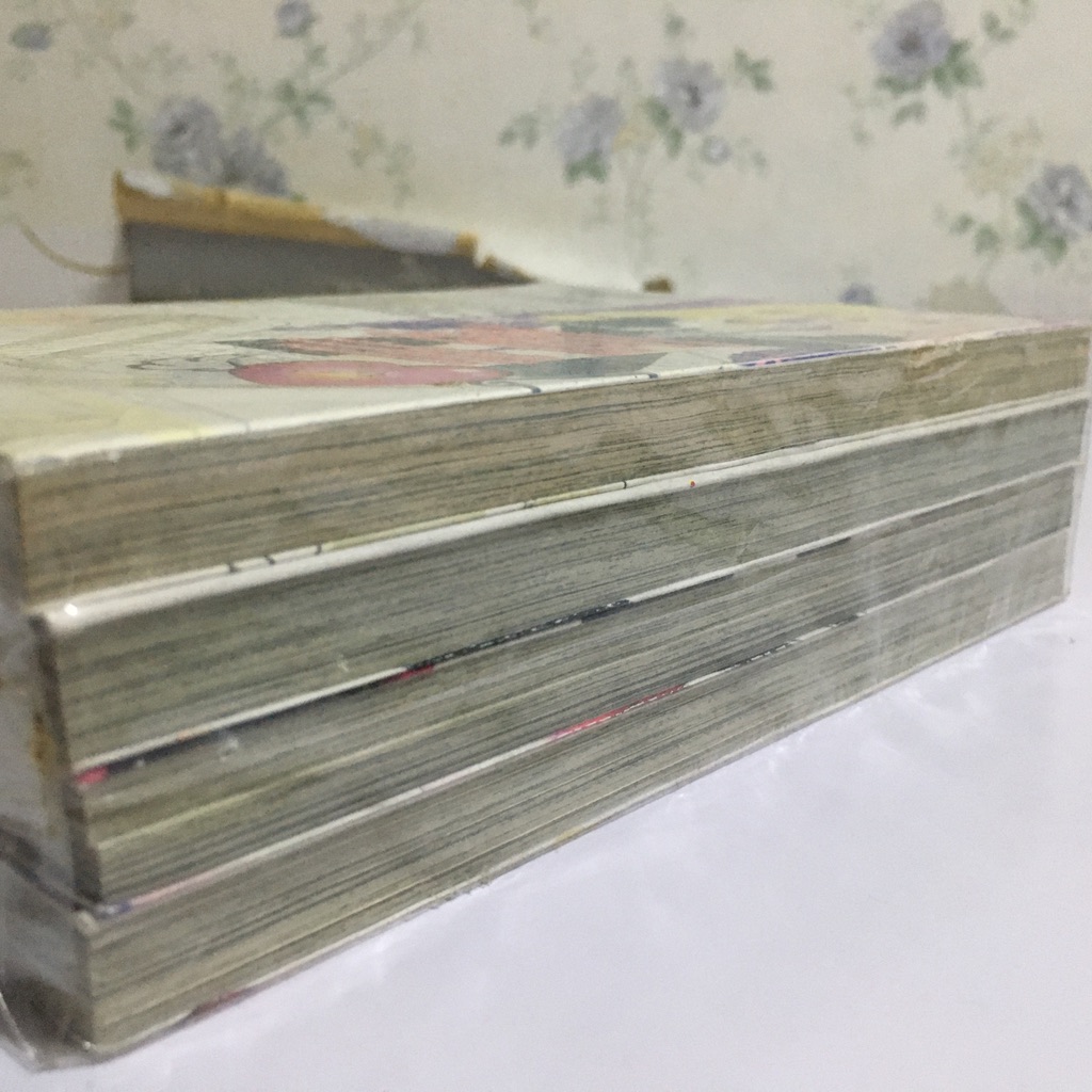 มาริทซ่า เจ้าหญิงอธิษฐาน เล่ม 1-4 (จบ)