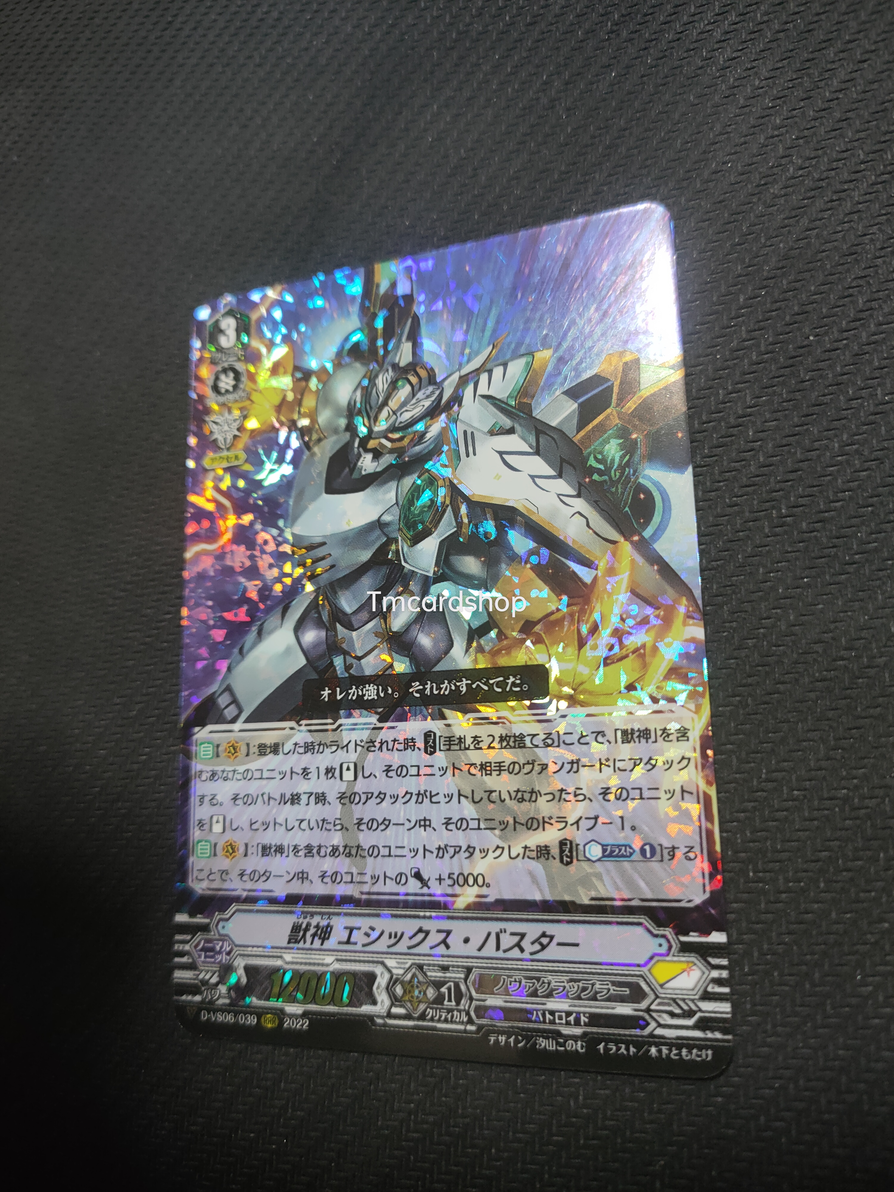 D-VS06-039 Beast deity Ethics buster