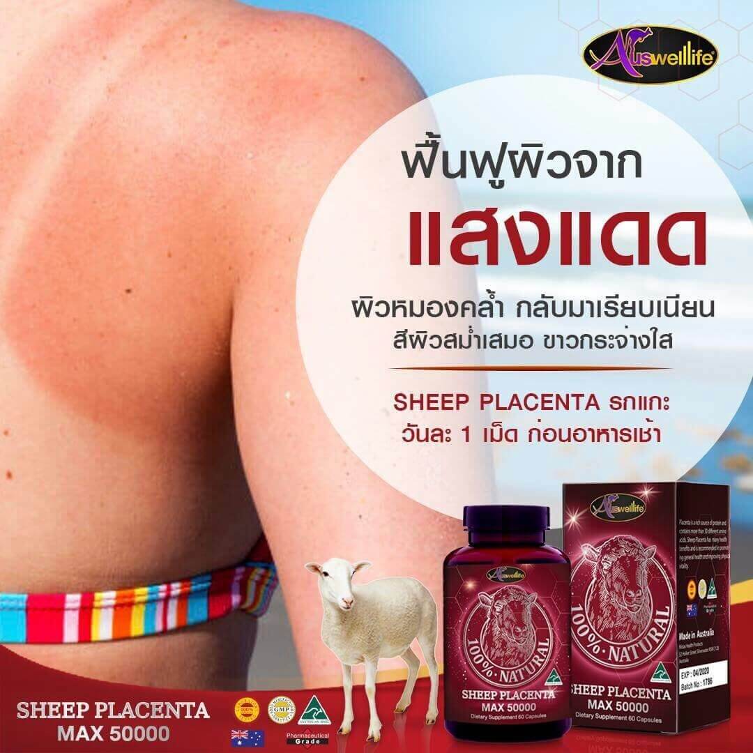รกแกะเม็ดเกรดพรีเมี่ยมจากออเตรเลีย AuswellLife Sheep Plaenta 50,000 มิลลิกรัม