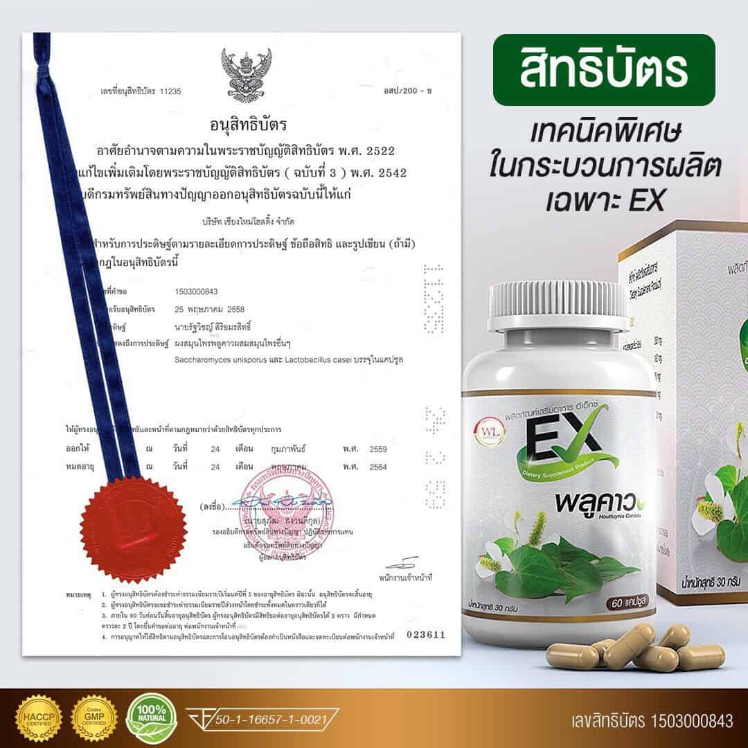 EX พลูคาว เสริมภูมิคุ้มกัน สู้ภัยโควิด-19 สมุนไพรพลูคาว ต้านไวรัส