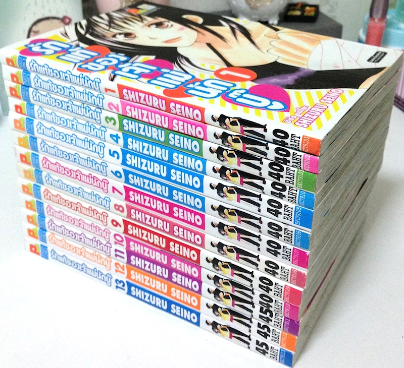 รักแท้ของเจ้าแม่นักบู๊ เล่ม 1-13 #จบ