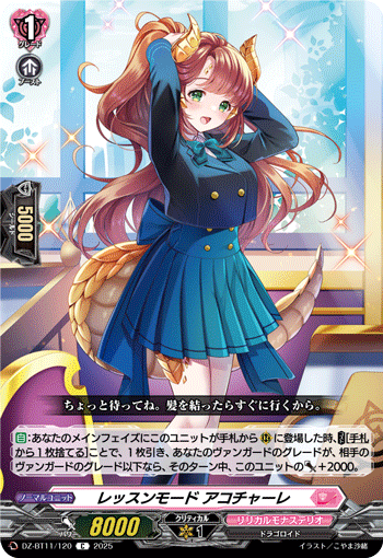 DZ-BT11/120 Lesson mode Akochale