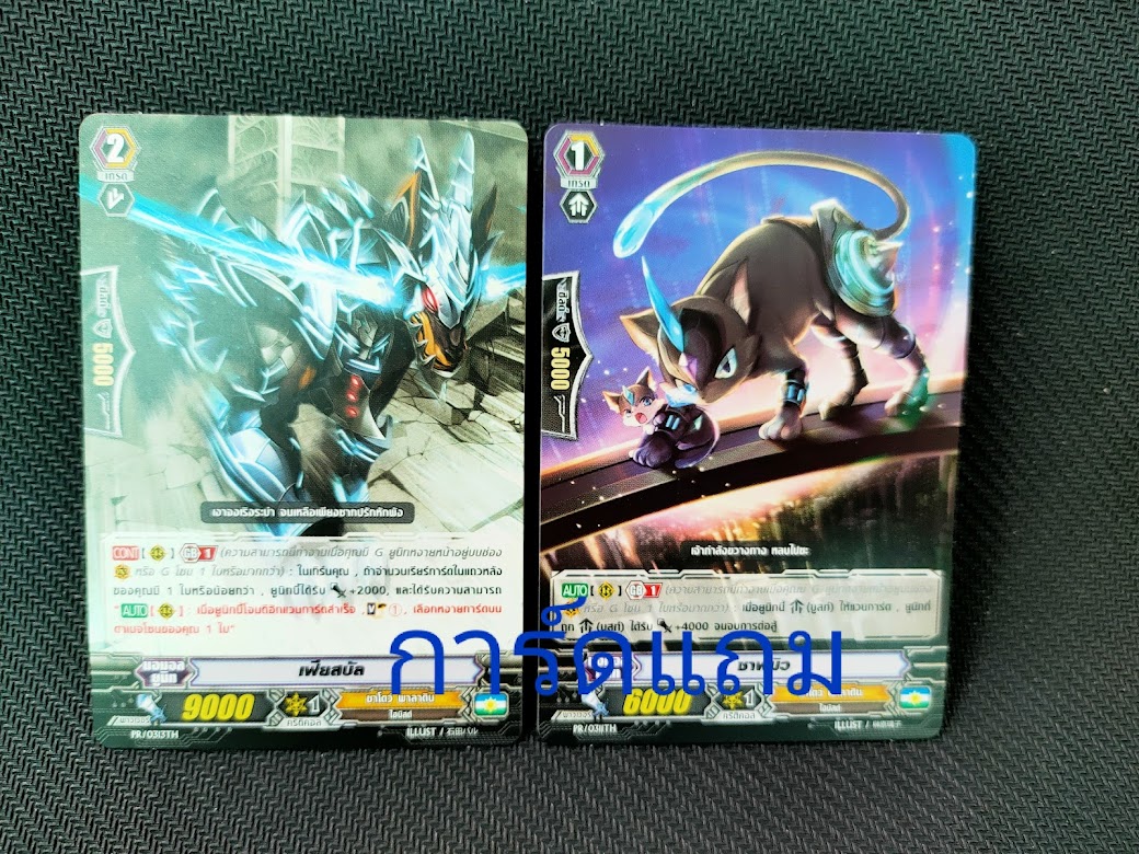 แฟ้มใส่การ์ด 4 ช่อง ลายชาโดว์ พาลาดิน