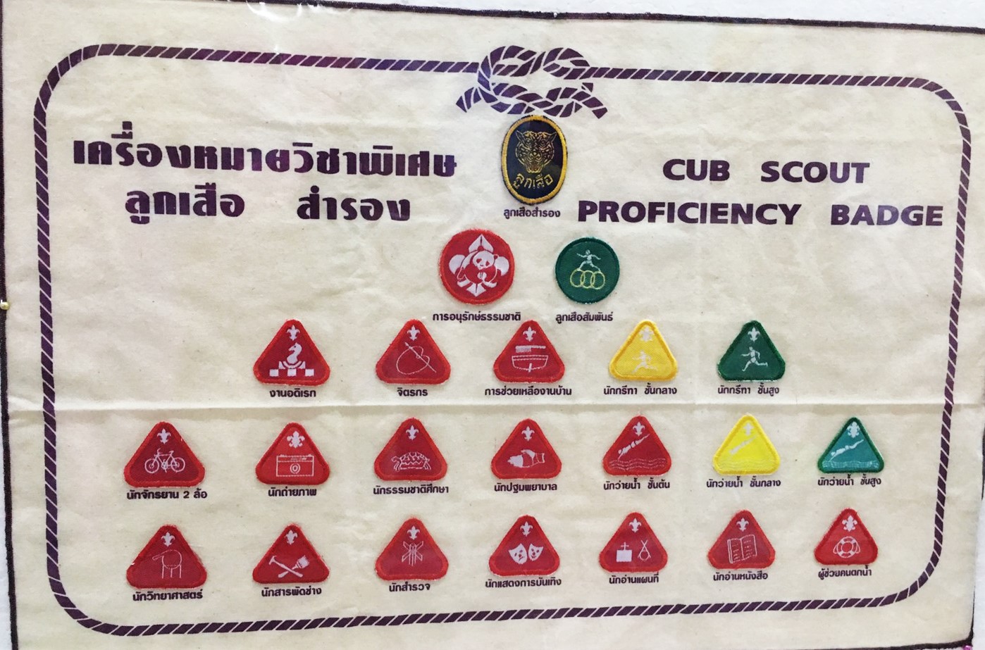 เครื่องหมายวิชาพิเศษ