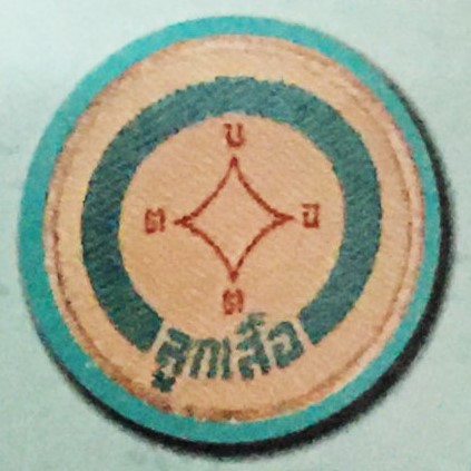 เครื่องหมายวิชาพิเศษของลูกเสือสามัญ