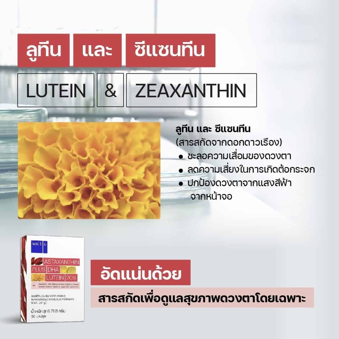 Well U Astaxanthin plus DHA อาหารเสริมบำรุงดวงตา