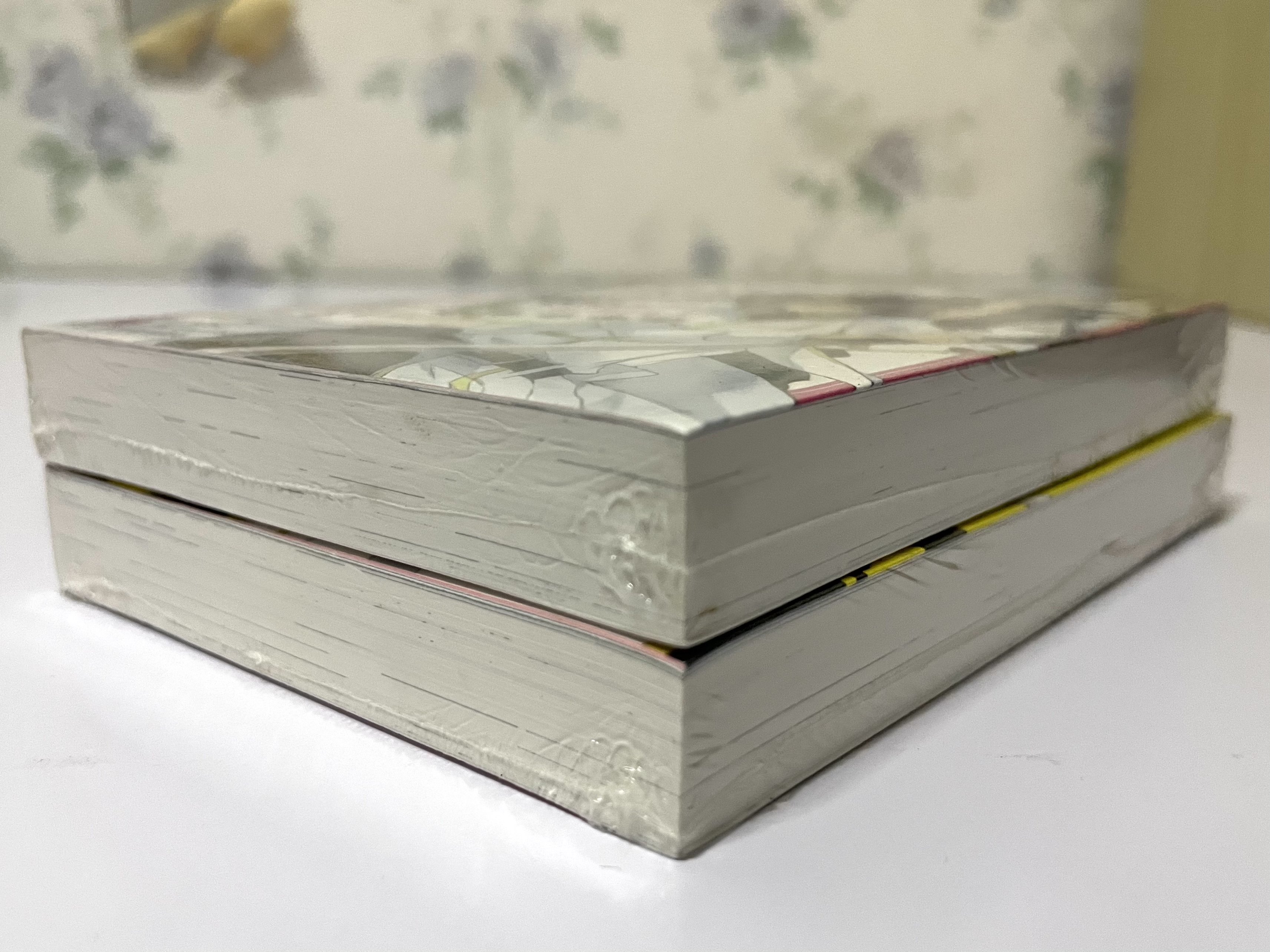 สูตรปราบปีศาจ เดี๋ยวขาด! เดี๋ยวเกิน! เล่ม 1-2