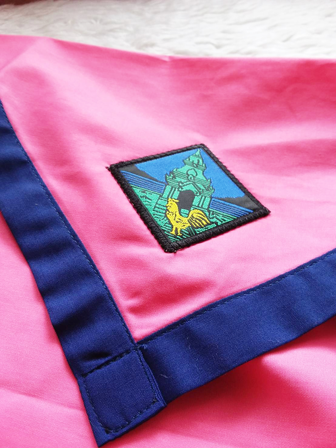 ผ้าพันคอลูกเสือครู สีประจำจังหวัด