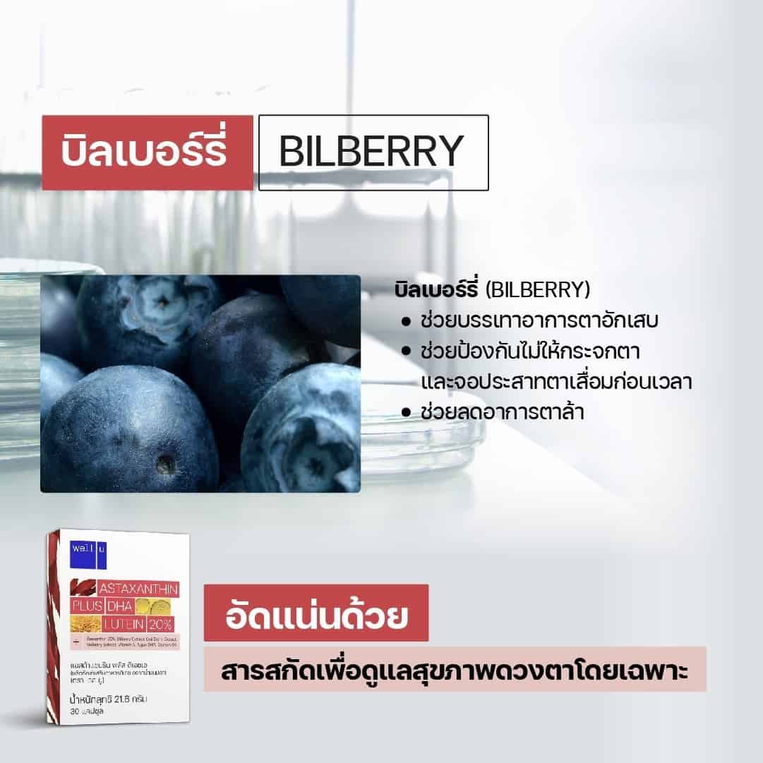 Well U Astaxanthin plus DHA อาหารเสริมบำรุงดวงตา