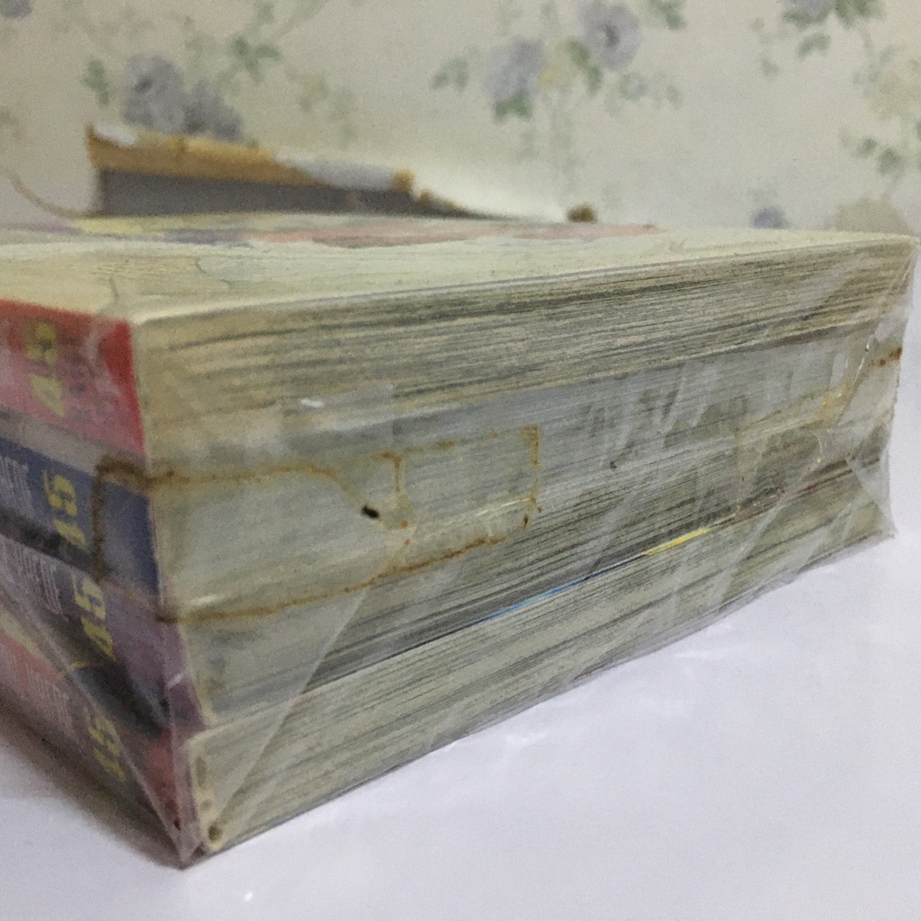 มาริทซ่า เจ้าหญิงอธิษฐาน เล่ม 1-4 (จบ)