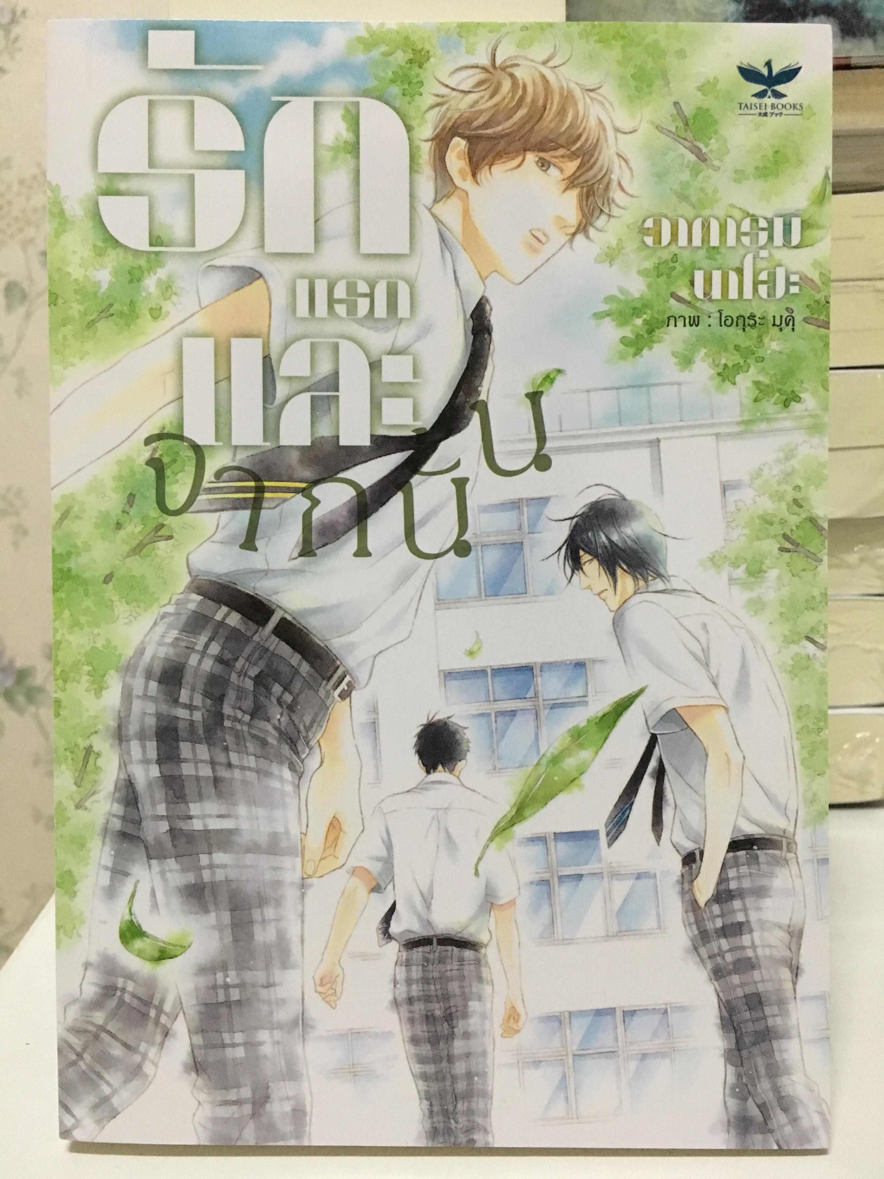 รักแรก...และจากนั้น (เล่มเดียวจบ)