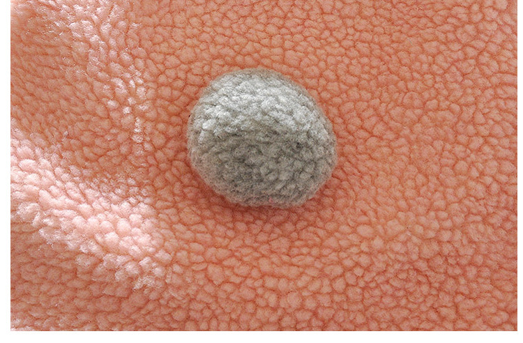 เสื้อกันหนาวขนปุกปุย หมวกมีหูกระต่ายน่ารัก สไตล์เกาหลี