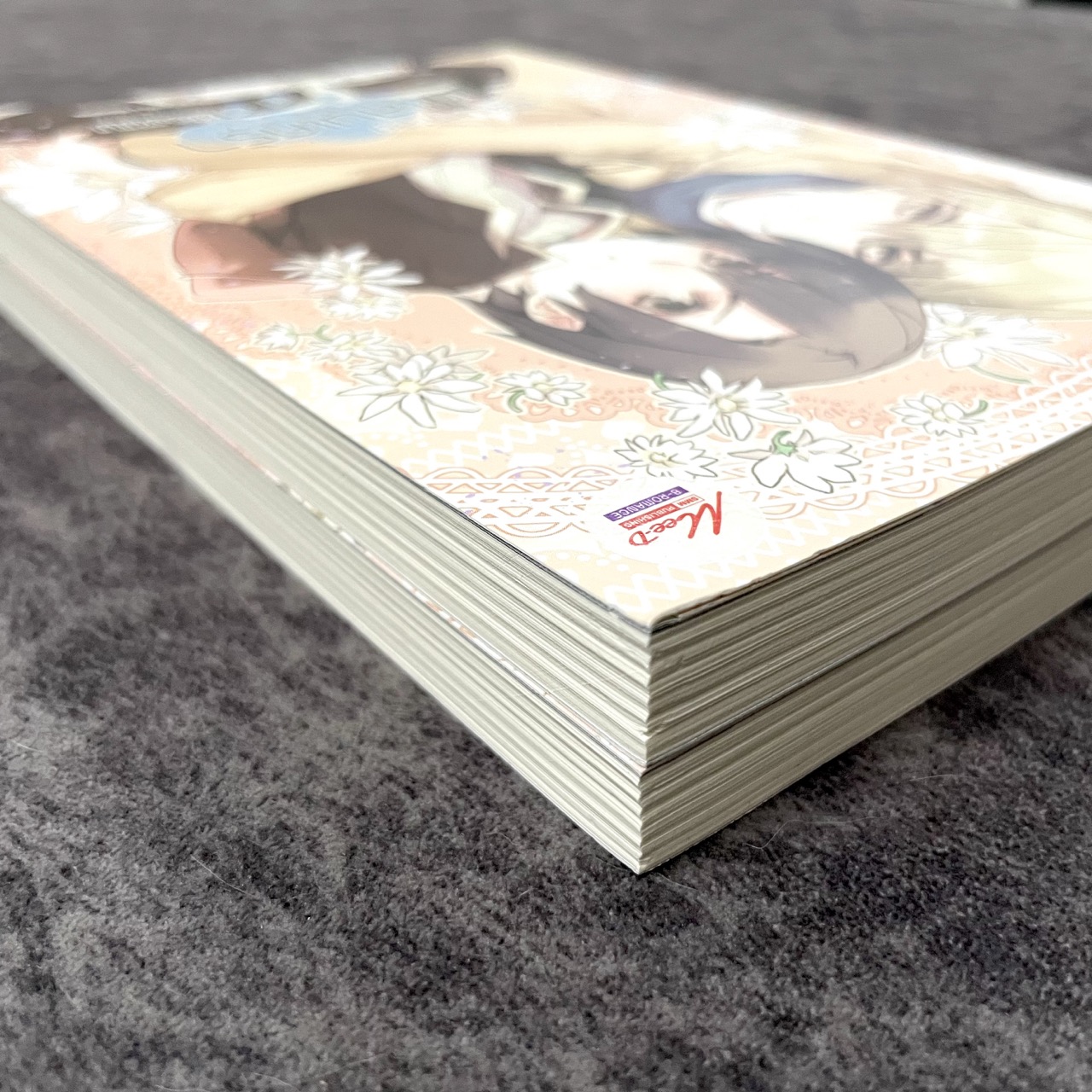 *มือสองขีดสัน* ชีวิตมหาลัยที่แสนเศร้าของผม เล่ม 1-2 (จบ)