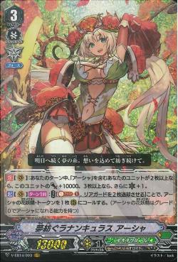 V-EB14/ 003 Dream spinning Ranunculus Ahsha VR