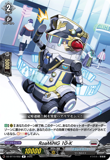 DZ-BT10/052 RoaMiNG 10-K R