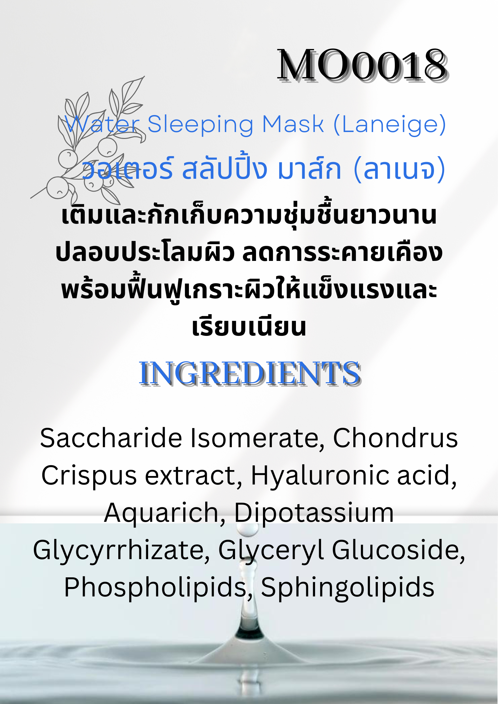 MO018 Water Sleeping Mask (Laneige Active ลาเนจ แอคทีฟ)