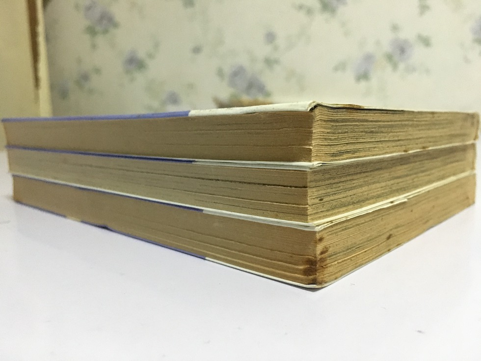 เจ้าชาย แม่มด & เจ้าหญิง เล่ม 1-3