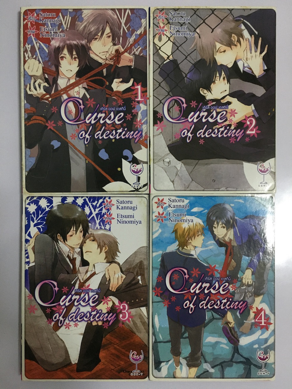 Curse of Destiny เคิร์ส ออฟ เดสทินี่ เล่ม 1-4