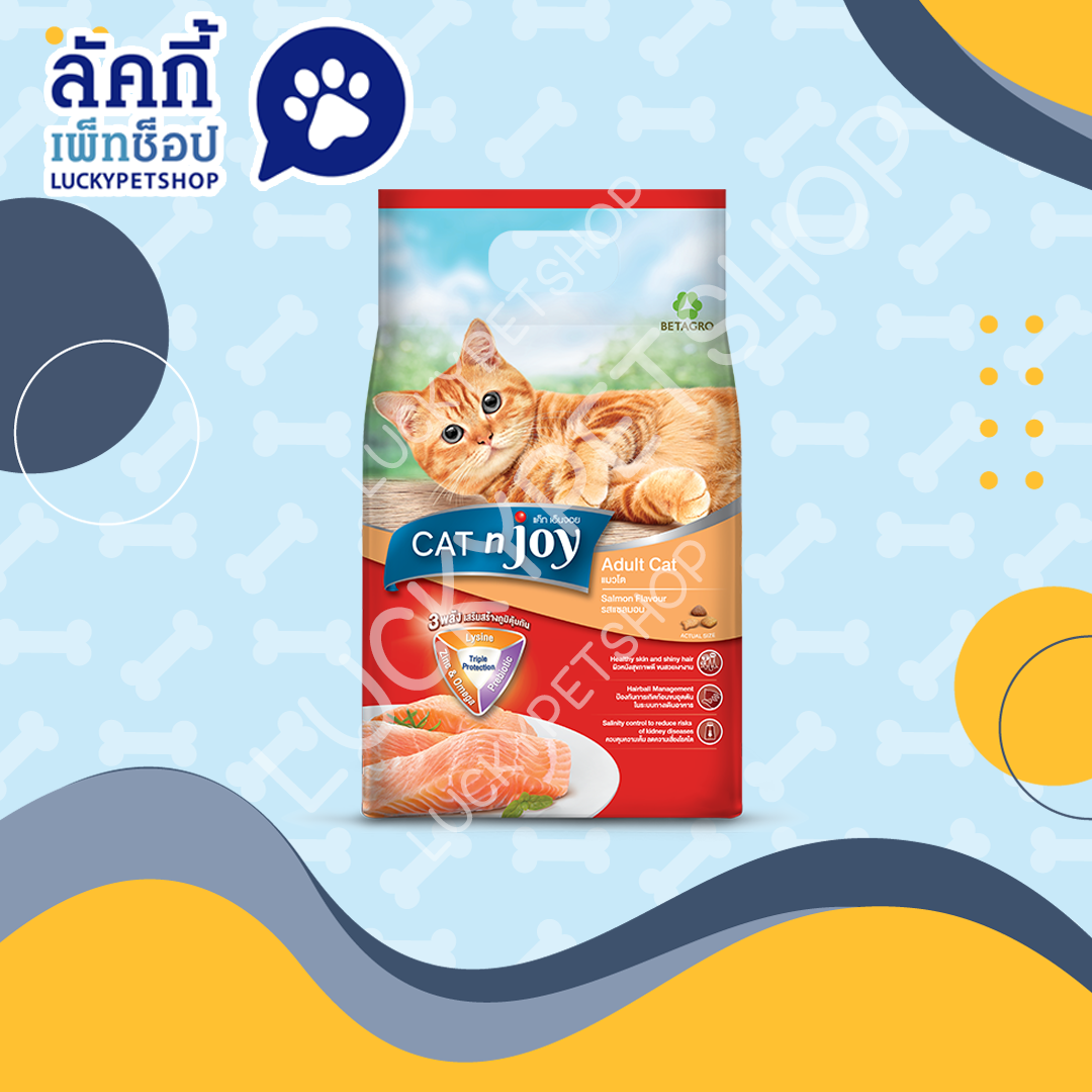 CAT n joy อาหารแมวโต รสแซลมอน 1.2kg.